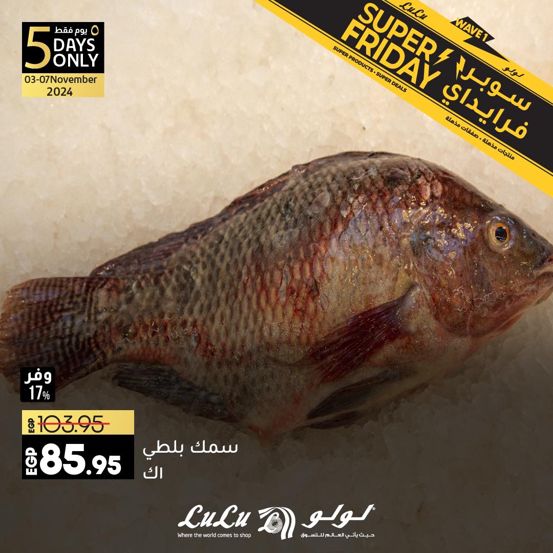 lulu-hypermarket offers from 3nov to 30nov 2024 عروض لولو هايبر ماركت من 3 نوفمبر حتى 30 نوفمبر 2024 صفحة رقم 3